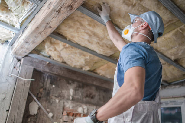 Best Professional Insulation Contractor  in Fitchburg, MA