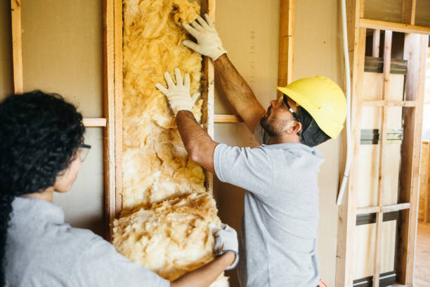Best Insulation for New Construction  in Fitchburg, MA