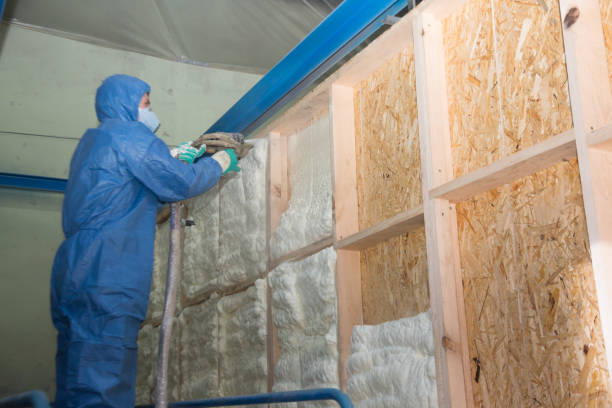 Best Cellulose Insulation  in Fitchburg, MA