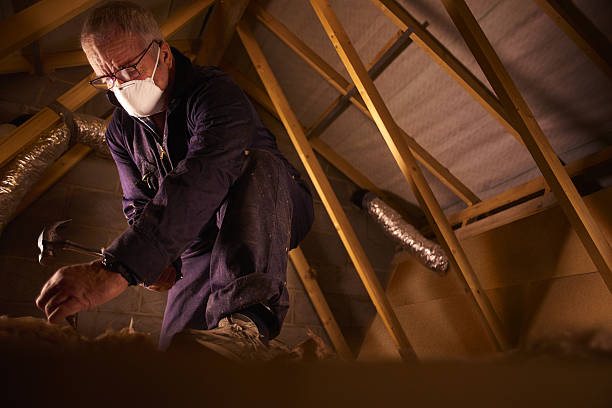 Best Insulation Replacement Services  in Fitchburg, MA