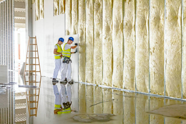 Best Insulation Removal  in Fitchburg, MA